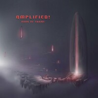 Amplified!, Door of Shame