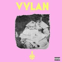 Bob Vylan, Vylan
