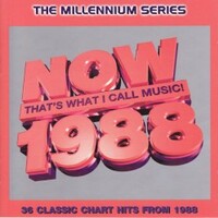 Various Artists, Now That's What I Call Music! 1988: The Millennium Series