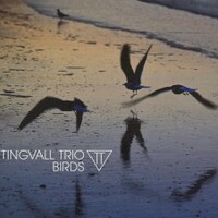 Tingvall Trio, Birds