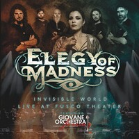 Elegy of Madness, Invisible World: Live at Fusco Theater