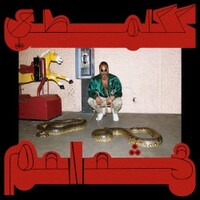 Shabazz Palaces, Robed in Rareness