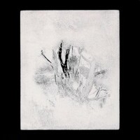 Infant Island, Collections 1