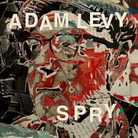 Adam Levy, Spry