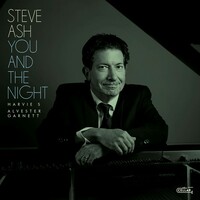 Steve Ash, You And The Night