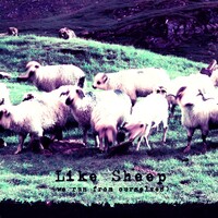 Niv Ast, Like Sheep (we run from ourselves)