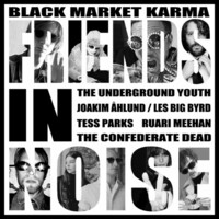 Black Market Karma, Friends in Noise