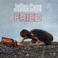 Julian Cope, Fried (Bonus Tracks)