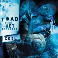 Toad the Wet Sprocket, Coil