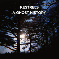Kestrels, A Ghost History