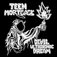 Teen Mortgage, Devil Ultrasonic Dream