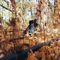 Billy Woods, GOLLIWOG