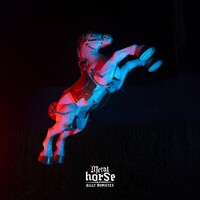 Billy Nomates, Metalhorse