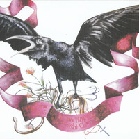 Slim Cessna's Auto Club, Cipher