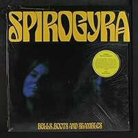 Spirogyra, Bells, Boots and Shambles