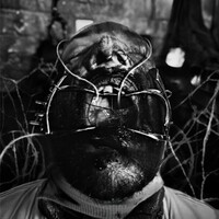 Larcenia Roe, Extraction