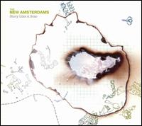 The New Amsterdams, Story Like a Scar