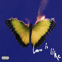 Maroon 5, Love Is Like