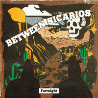 Fortnight, Between Sicarios