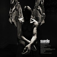 Suede, Antidepressants