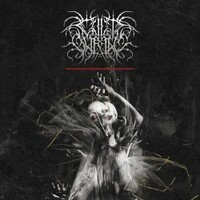 Cult Burial, Collapse of Pattern, Reverence of Dust