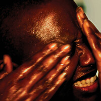 Cecile McLorin Salvant, Oh Snap