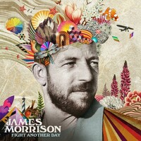 James Morrison, Fight Another Day