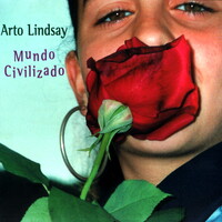 Arto Lindsay, Mundo Civilizado