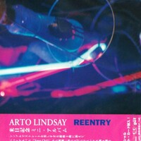 Arto Lindsay, Reentry
