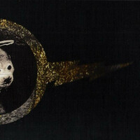 Pixies, Doolittle - Live at the Forest National Brussel 2009