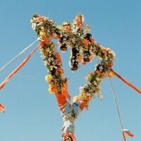 The Devil Wears Prada, Flowers