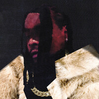 Wale, Everything Is a Lot