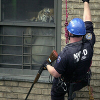 Armand Hammer, Shrines