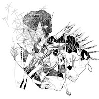 Jesca Hoop, Selective Memory