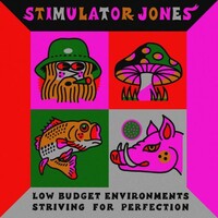 Stimulator Jones, Low Budget Environments Striving For Perfection