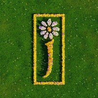 James, Nothing But Love: The Definitive Best Of