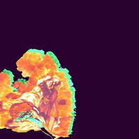 Water From Your Eyes, Somebody Else's Song