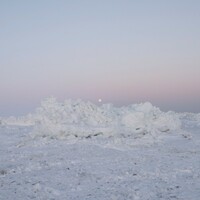 Billy Woods, Terror Management