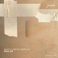 Paul SG, Dusty, Lost & Loopy Vol 1