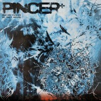 Pincer+, Who Are You When No One's Around