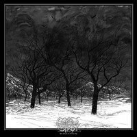 Ethereal Shroud, They Became the Falling Ash