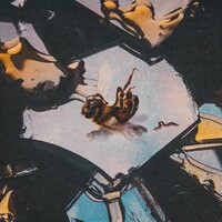 Stain the Canvas, Honey Rot