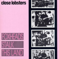 Close Lobsters, Foxheads Stalk This Land