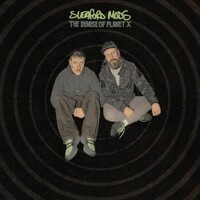Sleaford Mods, The Demise Of Planet X