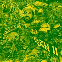 Homeboy Sandman, Rich II