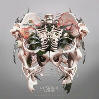 Crystal Lake, The Weight of Sound