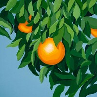 Tyler Ballgame, For The First Time, Again