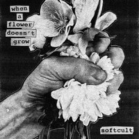 Softcult, When A Flower Doesn't Grow