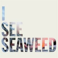 The Drones, I See Seaweed