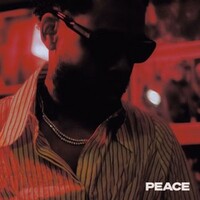 Terrace Martin, Peace